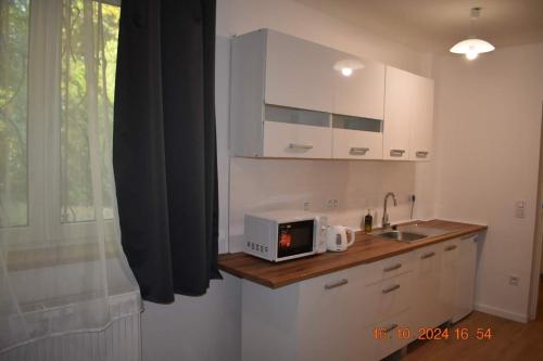 una cucina con lavello e forno a microonde su un bancone di Flynnhouse a Aš