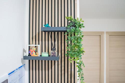 a wall with a shelf with a plant on it at Dodo's house in Bari
