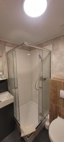 a glass shower in a bathroom with a toilet at Ferdinand Penzion in Moldava nad Bodvou