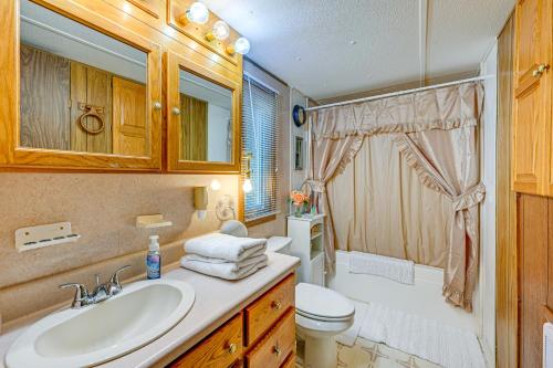 a bathroom with a sink and a toilet at Creek Access and Spacious Yard Quiet Sylva Home! in Sylva