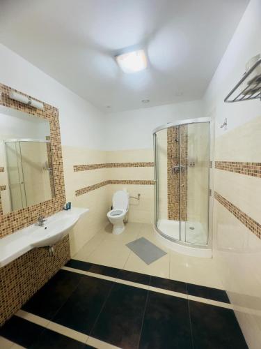 a bathroom with a shower and a toilet and a sink at Magiczna Farma Hotel Obiady Mąka i Magia in Zambrów