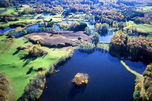 an aerial view of a lake with trees and water at Le Camus in Belonchamp