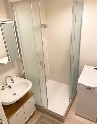 une salle de bain avec douche et lavabo dans l'établissement Charmant appartement, à Gare des Brotteaux