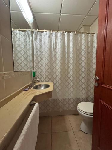 a bathroom with a sink and a toilet and a shower at Departamento en Colastine Norte in Colastiné