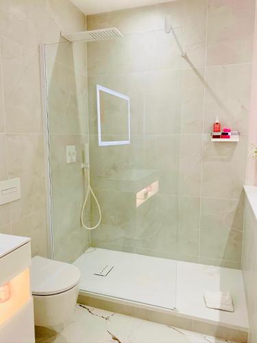 a bathroom with a shower and a toilet at "Rose" Atypique, clim, coeur du Quartier Haut in Sète