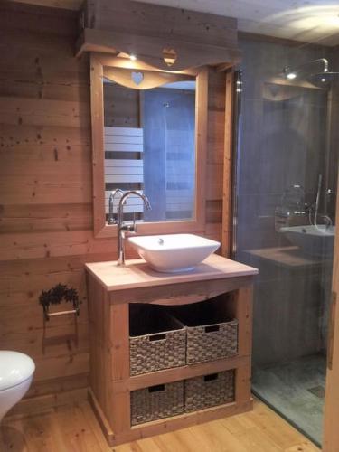 une salle de bain avec un lavabo et des toilettes dans l'établissement Chalet au cœur du massif des Bauges, à La Féclaz