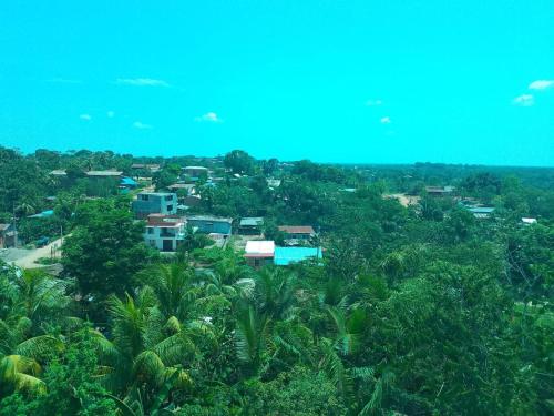 a view of a village with trees and houses at Hotel Vista Verde in Campoverde