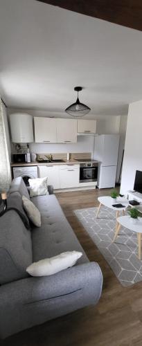 Il comprend un salon avec un canapé gris et une cuisine. dans l'établissement Joli appartement 2 pièces sur Liancourt, à Liancourt