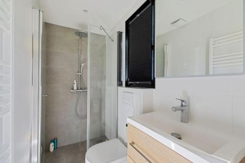 a bathroom with a shower and a toilet and a sink at Natuurhuisje Lisa - Privé sauna en vrij uitzicht - kindvriendelijk in Drijber