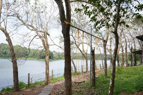 a walkway next to a river with trees at Lakedale Resorts in Thekkumkara