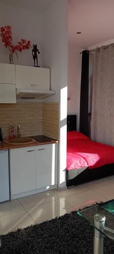 Un pat sau paturi într-o cameră la Apartamenty Opera