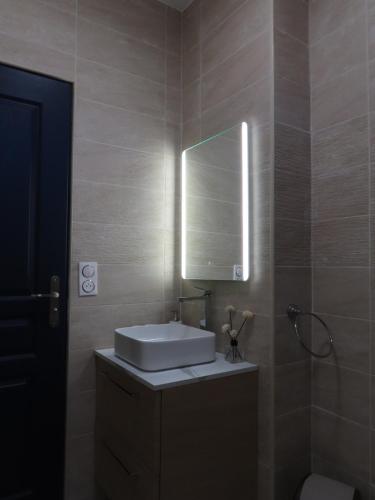 a bathroom with a sink and a mirror at Chambre à Bondy pour deux personnes in Bondy