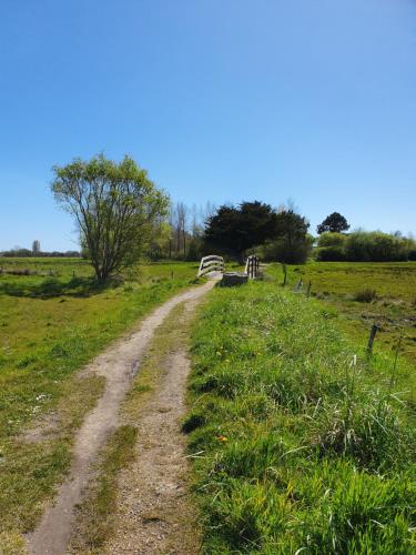 a dirt road in the middle of a field at Escapade à Combrit in Combrit