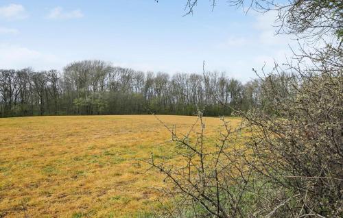a large open field with trees in the background at Stunning Home In Sydals With Wifi in Bro