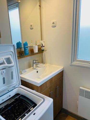 une salle de bain avec un lavabo et une machine à laver dans l'établissement Domaine de Kerlann, à Pont-Aven