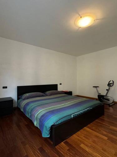 a bedroom with a large bed in a room at B&B Al Vec Licinsi' in Moniga