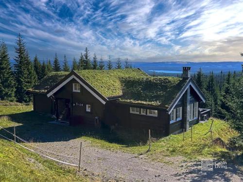 Příroda nedaleko vily