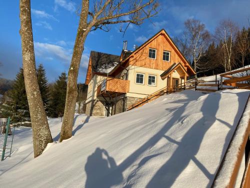 Apartmán v srdci Krkonoš