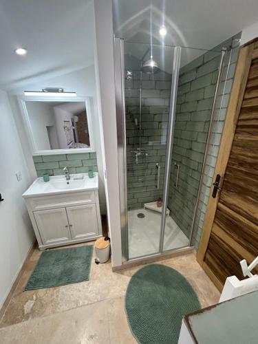 une salle de bain avec douche et lavabo dans l'établissement Charmante maison Provençale avec grand jardin, à LʼIsle-sur-la-Sorgue
