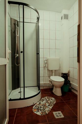 a bathroom with a shower and a toilet at Camping Veverita in Vatra Dornei