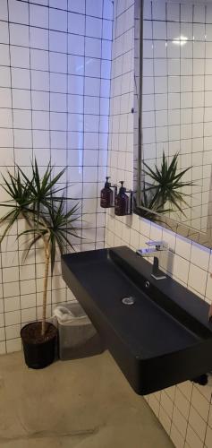 Fotografie z fotogalerie ubytování Hotel Corvallis v destinaci Corvallis