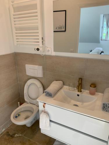 a bathroom with a toilet and a sink and a mirror at La Grand Maison in Orléans