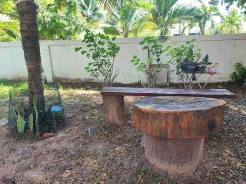 Taman di luar บ้านพักในสวนK&N2