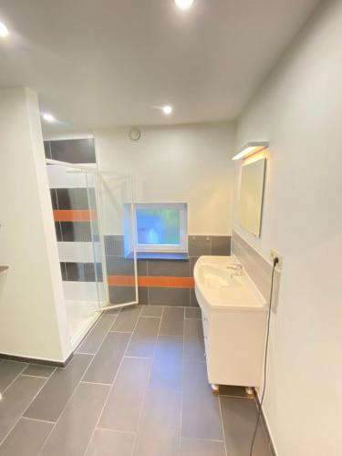 a bathroom with a sink and a mirror at La Petite Boite in Péruwelz