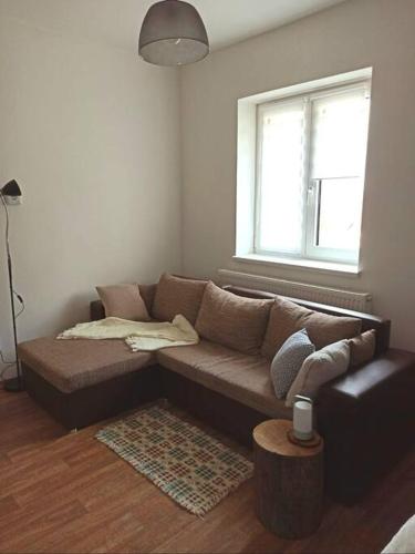 a living room with a brown couch and a window at Zastávka v lázeňském trojúhelníku - apartmán 3 in Šneky