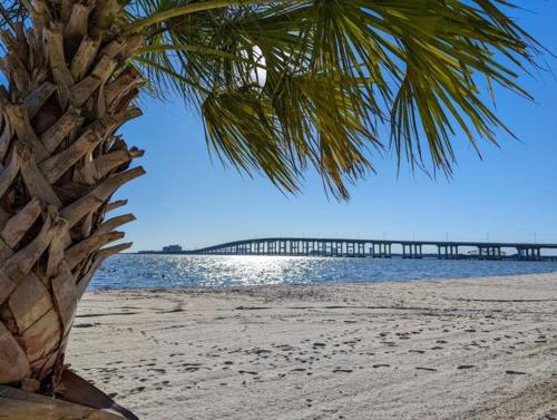 a palm tree on a beach with a bridge in the background at Endless Summer Retreat with Private Pool near Beach in Gautier