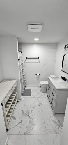 a white bathroom with a toilet and a sink at Aria Pocono Home in Tobyhanna