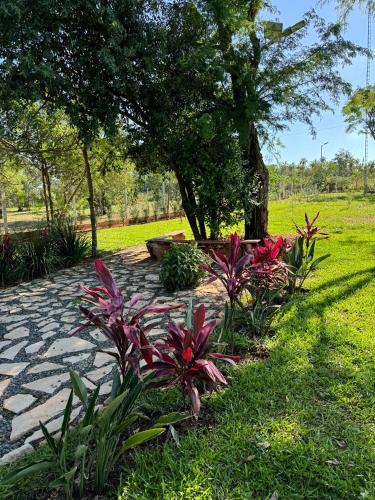 a garden with pink flowers and a tree at Residencia Piri in Piribebuy