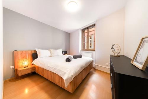 une chambre avec un grand lit et une fenêtre dans l'établissement Le Roi Lion Colmar Centre parking gratuit, à Colmar