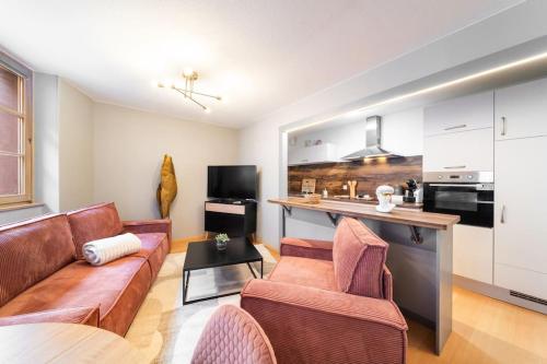 un salon avec un canapé et une cuisine dans l'établissement Le Roi Lion Colmar Centre parking gratuit, à Colmar