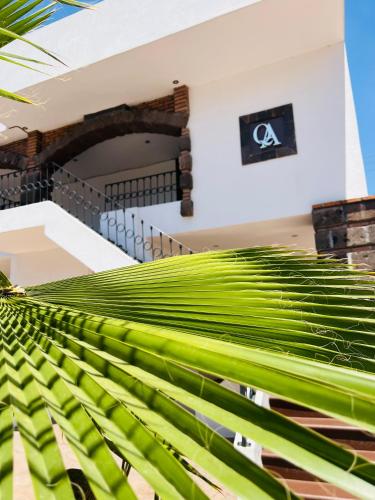 a palm tree in front of a building at QA Hotel in San Luis Potosí