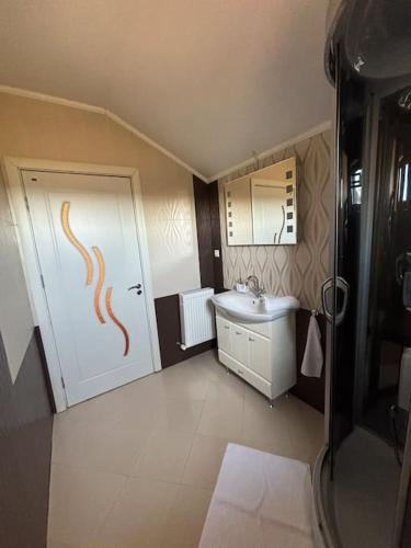 a bathroom with a sink and a door with a snake painted on it at Topaz Villa in Paleu