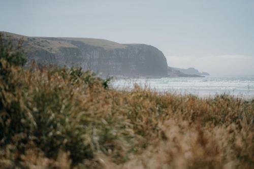 a view of a beach with the ocean and cliffs at Beach Front Oasis - Catlins, Jacks Bay in Hinahina