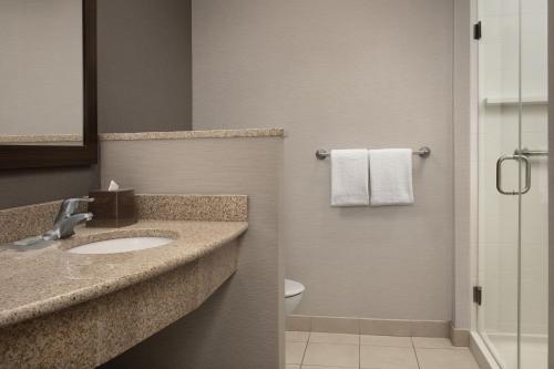 a bathroom with a sink and a toilet and a shower at Courtyard Syracuse Downtown at Armory Square in Syracuse