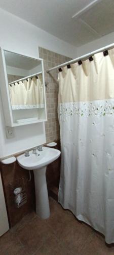 ein Badezimmer mit Waschbecken und Duschvorhang in der Unterkunft Aparts Casas Del Centro-El Chaltén in El Chalten