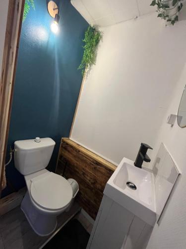 a bathroom with a white toilet and a sink at Studio séance sur l'oreiller in Malmerspach