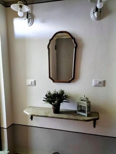 a mirror and a shelf with a plant on a wall at Casale de L'Ovo Tuscany Relax in Gabbro