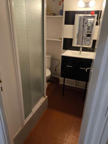 une salle de bain avec douche et lavabo dans l'établissement bel appartement dans résidence avec piscines, au Barcarès