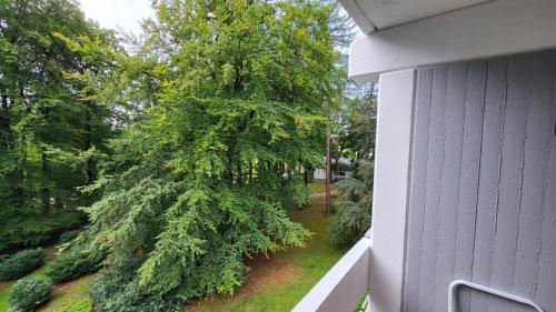 Ferienwohnung am Kurpark Ehlscheidにある庭