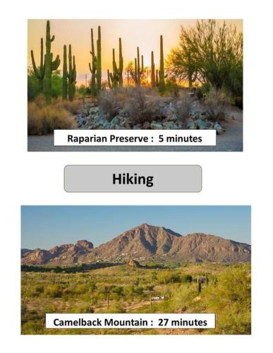 a screenshot of a cell phone of a desert with cactus at Tranquil Mesa Retreat in Mesa