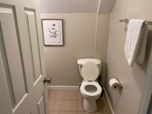 a bathroom with a toilet and a picture on the wall at Mins to USC Hospital Zoo Columbia Duet-Unit A in West Columbia
