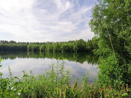 a view of a lake with trees in the background at Charming Mansion with Pools in Antoing