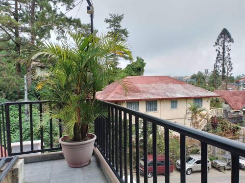 a plant in a pot sitting on a balcony at Amara Transient - 2 Bedroom Apartment in Tuding