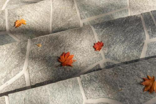 an overhead view of autumn leaves on the ground at Shionoyu Onsen Rengetsu in Nasushiobara
