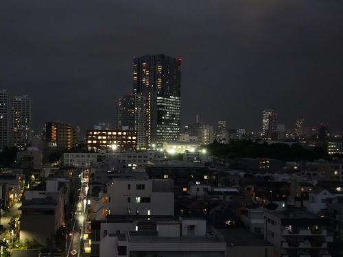 a city skyline at night with lit up buildings at Rembrandt Cabin Shinjuku Shin-Okubo in Tokyo