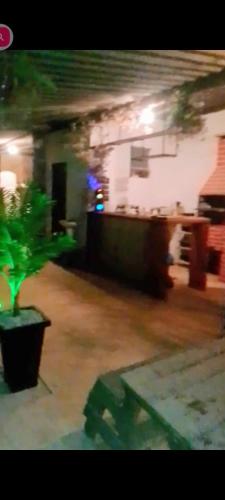 eine Pflanze in einem Topf in einem Raum mit einem Gebäude in der Unterkunft Chalé chacara dos eucaliptos in Itapecerica da Serra